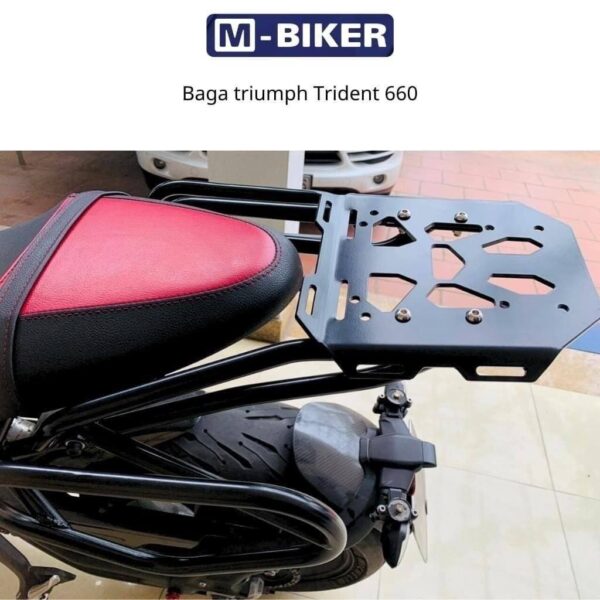 Baga gan khung tui Triumph Trident 660 1